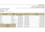 build advanced excel spreadsheets with formulas and charts